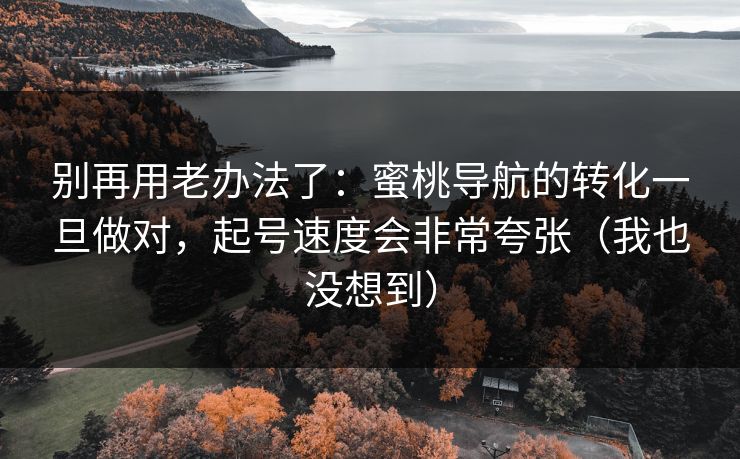 别再用老办法了：蜜桃导航的转化一旦做对，起号速度会非常夸张（我也没想到）