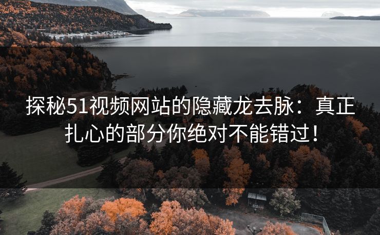 探秘51视频网站的隐藏龙去脉：真正扎心的部分你绝对不能错过！
